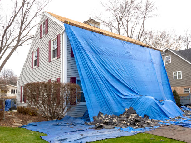 Best Yard Waste Removal  in Centralia, MO